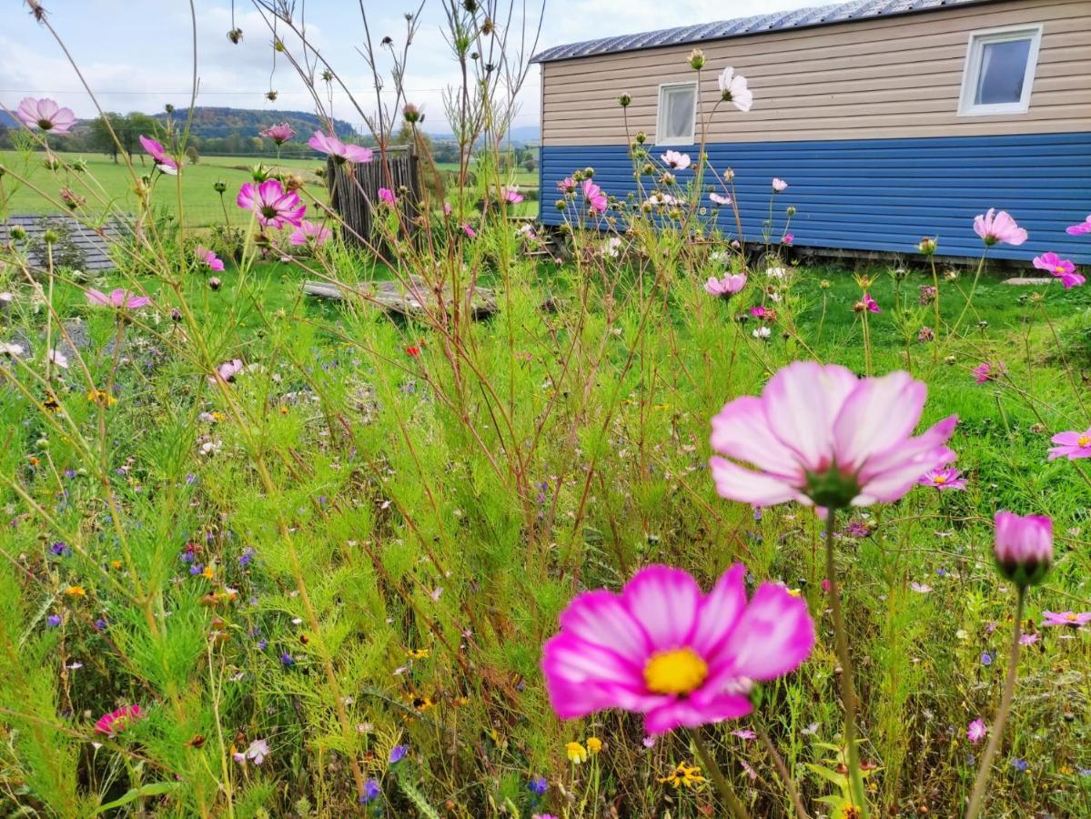 Logement Insolite Au Coeur De L'Auvergne Rochefort-Montagne Eksteriør bilde